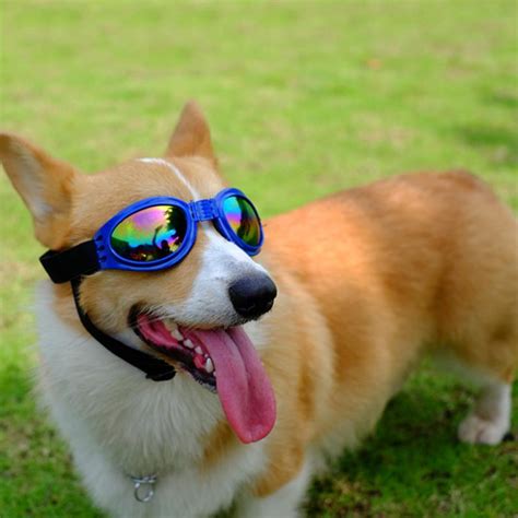 Dog Goggles Fashion Pet Dog Sunglasses Eye Wear Dog Protection Uv