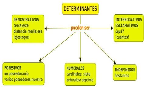 Qué Tipos De Determinantes [resumen Ejemplos ]