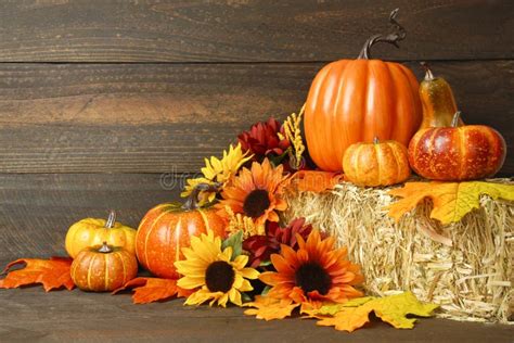 Fall Background With Pumpkins And Florals Thanksgiving Decorations