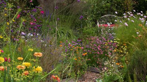 Wildlife Garden How To Create One And What To Plant Real Homes