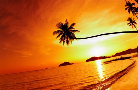 Thailand Beach Sea Sunset Sky Palm Tree wallpaper | 5666x3739 | 720276 ...