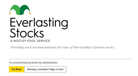 motley fool everlasting stocks review is this service worth using