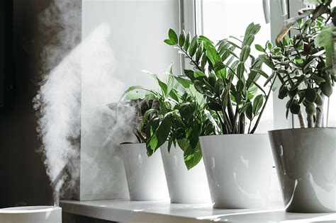 Luftfeuchtigkeit im Raum erhöhen - Tipps: Messen & Erhöhen