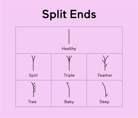 Types Of Split Ends How To Identify And Help What You Have
