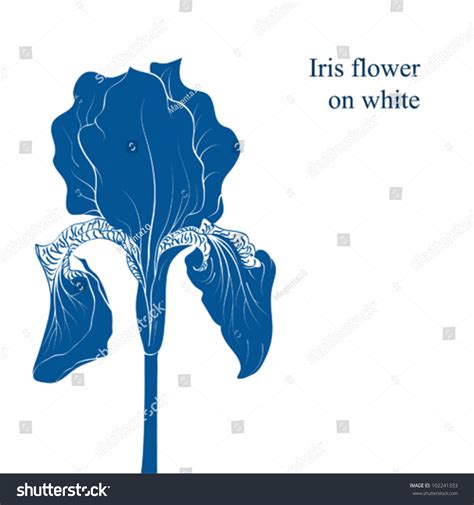 Iris Flower Silhouette Isolated On White Vector Illustration