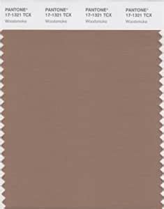 Pantone Smart X Color Swatch Card Woodsmoke House Paint Amazon Com