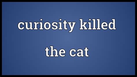 Curiosity does not kill it. Curiosity killed the cat Meaning - YouTube