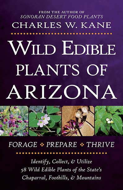 Wild Edible Plants Of Arizona By Charles W Kane Lincoln Town Press