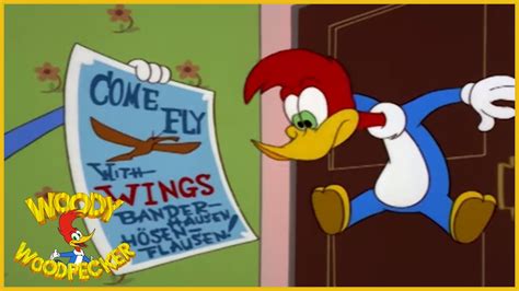 Woody Woodpecker Woodys Flying Lessons Full Episodes Youtube