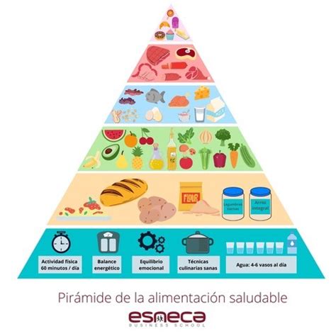 Pirámide alimenticia Qué es y cómo interpretarla Esneca