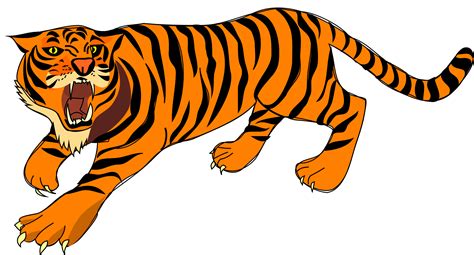 Clipart Tiger Sumatran Tiger Clipart Tiger Sumatran Tiger Transparent