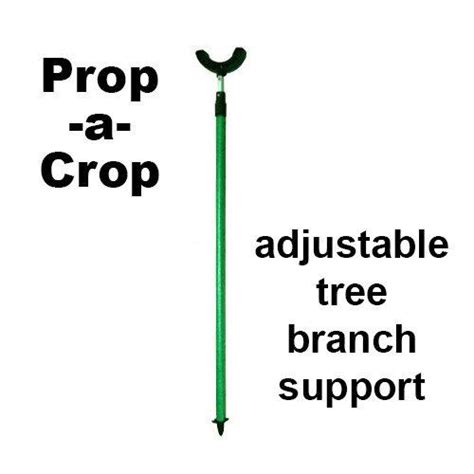 Drooping tree branches pose health risks for the tree, dangers to surrounding buildings and power lines, and nuisances to the surrounding landscape. Tree Branch Support from Prop-a-Crop