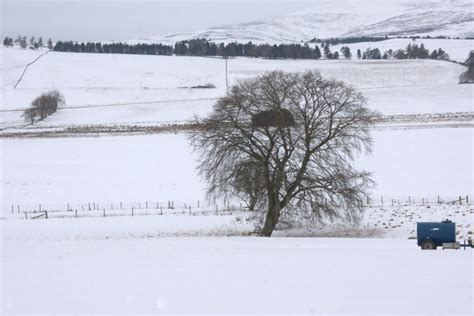 Snowy Field Kirkton Of Kingoldrum © Mike Pennington Geograph