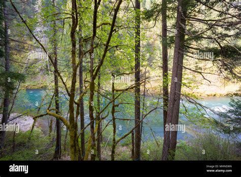 North Umpqua River Oregon Stock Photo Alamy