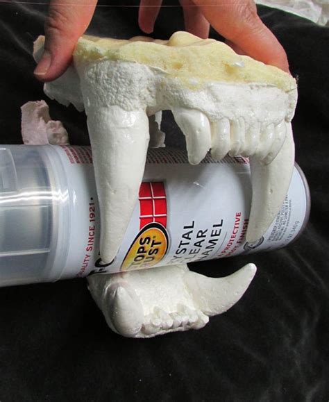 Huge Polar Bear Jaws Teeth Replica Etsy