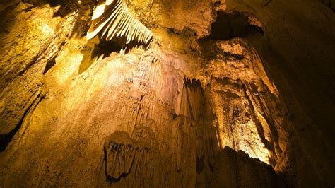 Visit Crystal Cave In Sequoia National Park Expedia