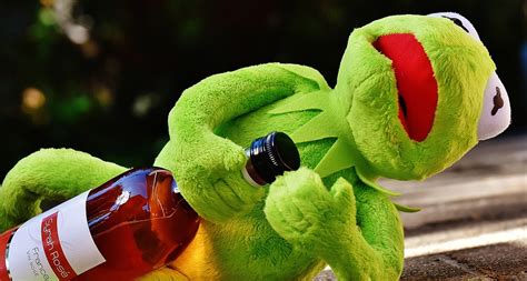 Kermit Frog Drink · Free Photo On Pixabay