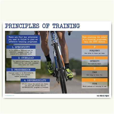 Principles Of Training Set Of 4 Posters The Poster Point