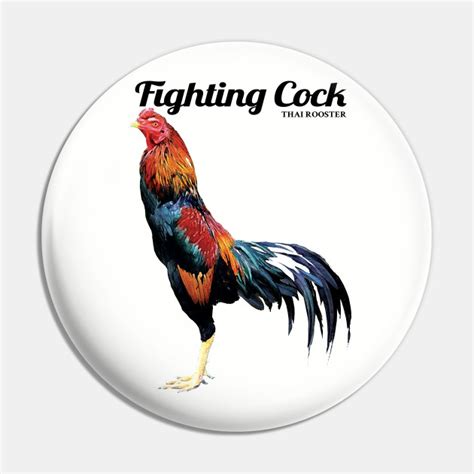 Fighting Cock Rooster Pin Teepublic