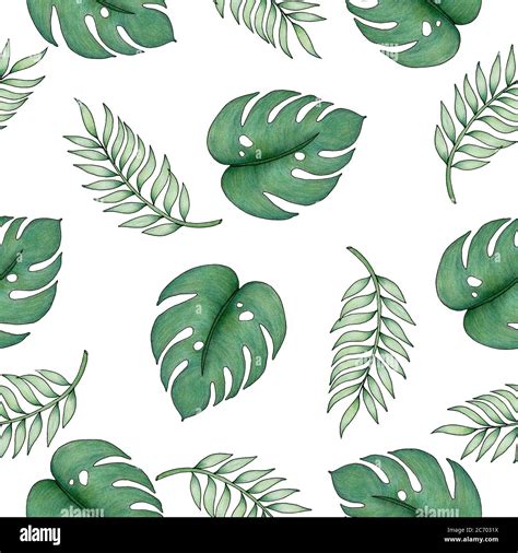 Tropical Seamless Pattern With Palm Leaf And Monstera Leaf Hand Drawn
