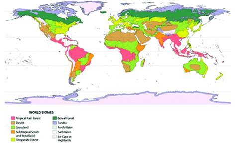 Biome Distribution Map