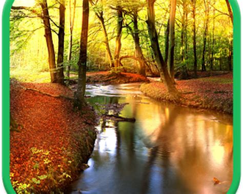 15 Autumn Wallpapers For Android Basty Wallpaper