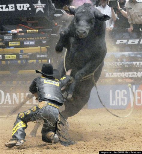 Terrifying Moment As 1500lb Bull Takes On Rodeo Rider At Ty Murral