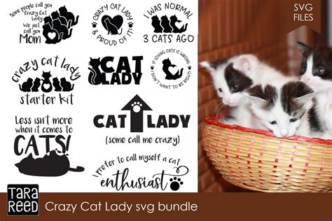 Crazy Cat Lady Svg Bundle Custom Designed Illustrations