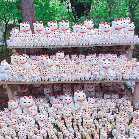🐱 This Extraordinary Collection Of Maneki Neko Is Located In Gotokuji
