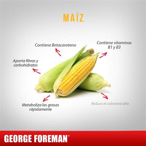 El maíz es uno de los cereales más importantes y no contiene gluten