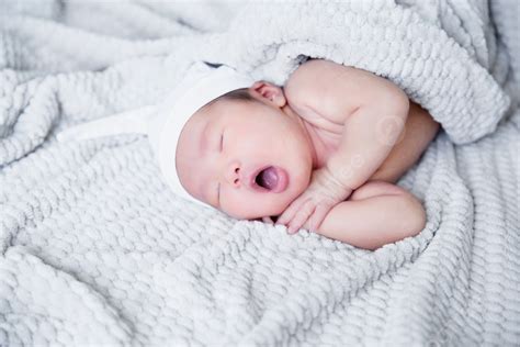 Background Foto Potret Bayi Yang Lucu Bayi Baru Lahir Potret Baru