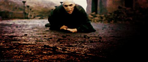 Your name will be written in glory when wizards rule the world.. Why couldn't Voldemort defeat Harry, if Dumbledore was ...