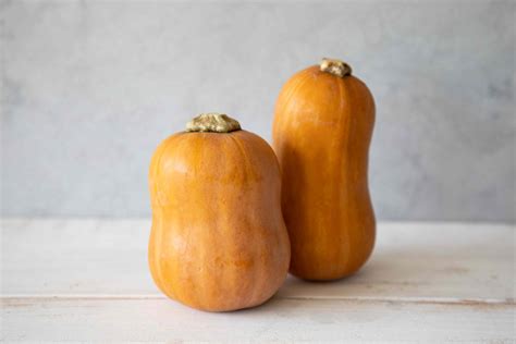 Types Of Winter Squash Butternut Acorn Delicata And More Varieties