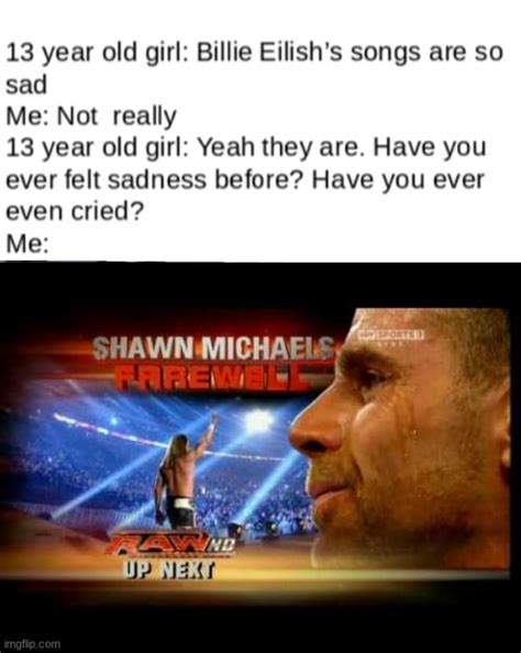 Have You Ever Felt Sadness Before Shawn Michaels Retirement Meme Imgflip