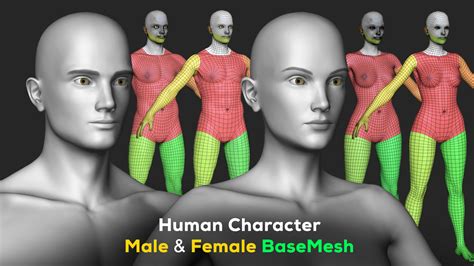 Artstation Human Character Female And Male Basemesh Pack Woman
