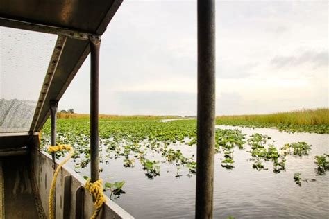 The Ultimate Guide To Visiting Everglades National Park Florida