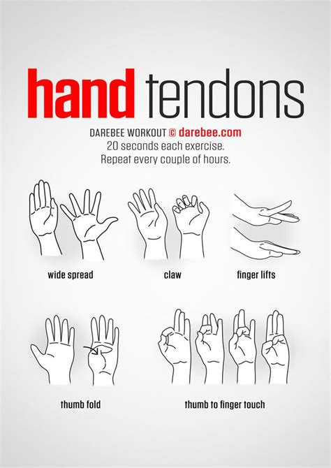 Hand And Wrist In 2020 Climbing Workout Wrist Exercises Office Exercise