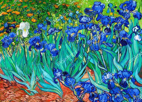 Irises 2 Painting By Vincent Van Gogh IPaintings Com