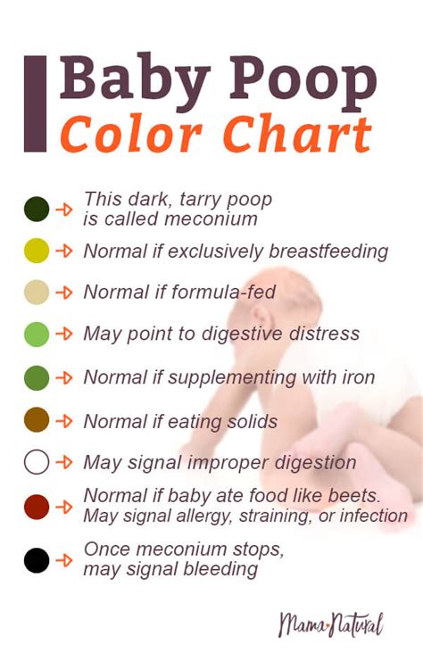 Baby Poop Chart Whats Normal And What Aint With Pictures Bút Chì Xanh
