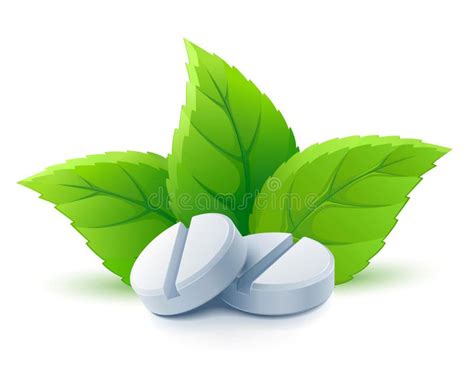 Natural Medical Pills With Green Leaves Stock Vector Illustration Of