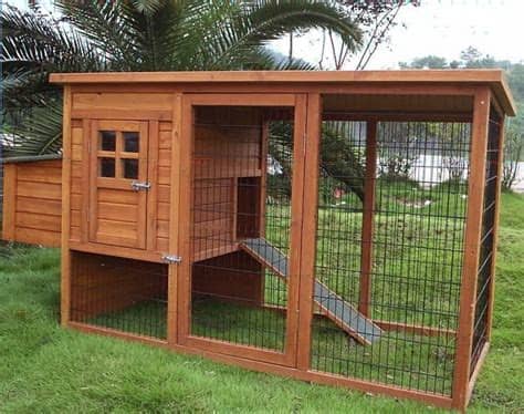 Raising chickens has grown in popularity in recent years, and a lot of folks are looking for instructions on how to build a chicken coop. chicken coop designs: a chicken coop