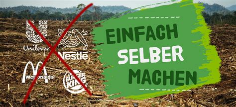 Regenwaldrodung Mcdonalds Nestlé And Co Brechen Ihre Versprechen