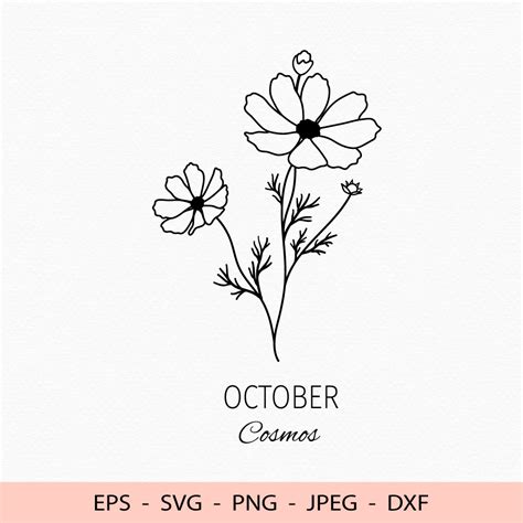 Cosmos SVG, October Birth Flower Birth Month Flower Cosmos Birthday