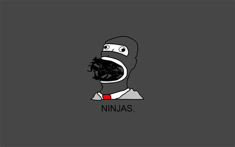 Funny Ninja Hd Wallpaper