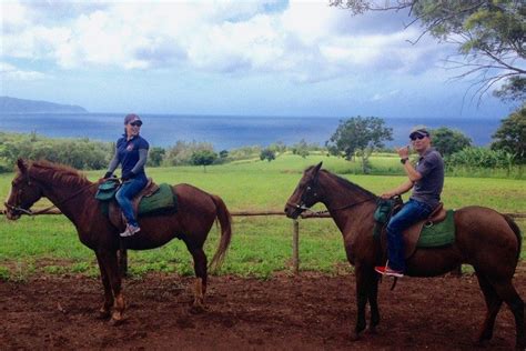 Happy Trails Hawaii Horse Ranch Honolulu Attractions Review 10best