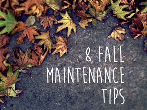 8 Fall Maintenance Tips For Homeowners Thomsen Homes