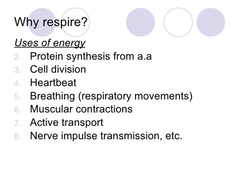 Which statement best describes energy release in cellular respiration? Chapter 10 Respiration Lesson 1 - Aerobic and Anaerobic ...