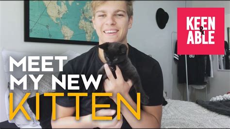 My New Kitten Youtube