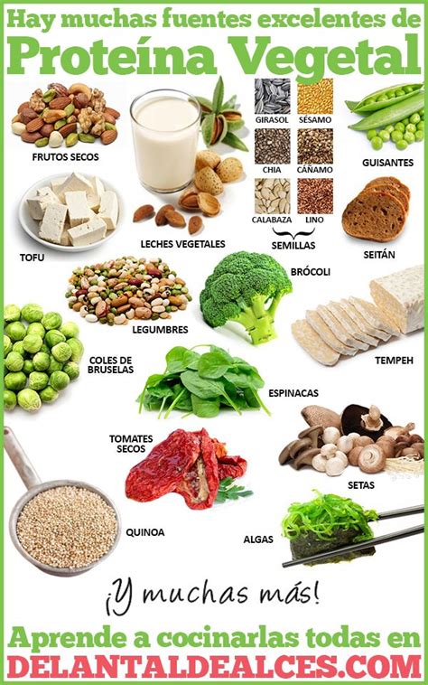 Alimentos Vegetales Con Más Proteínas Delantal De Alces Alimentos
