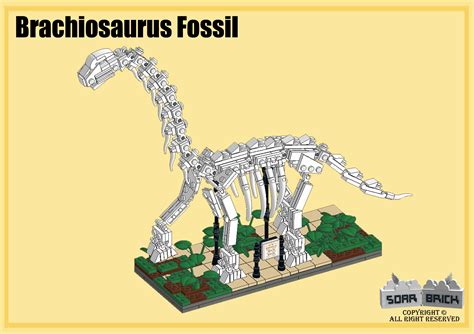 Dinosaur Fossil Part 1